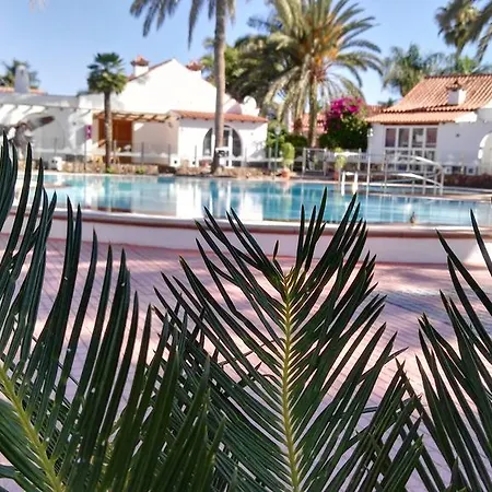 Hébergement de vacances Bungalow Palmtrees