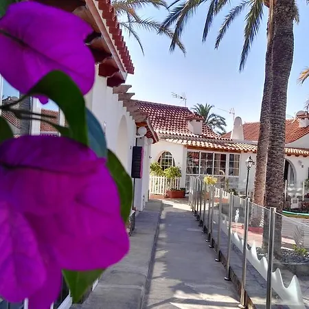 Bungalow Palmtrees *