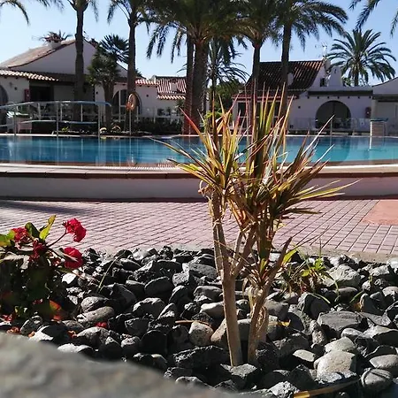 Bungalow Palmtrees * San Bartolomé