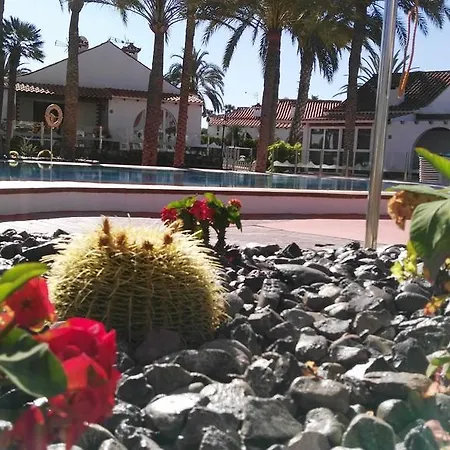 Bungalow Palmtrees *