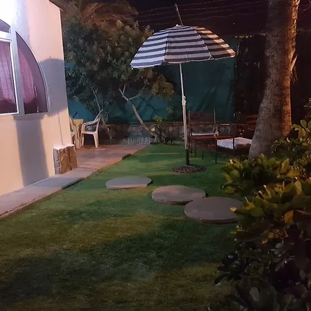 Bungalow Palmtrees * San Bartolomé