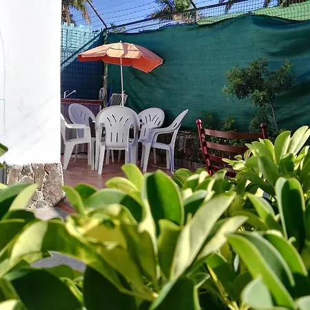 Hébergement de vacances Bungalow Palmtrees *